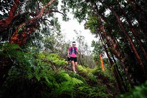 BIB: 
                            <button type="button" onclick="openModal(26202237)" class="btn btn-primary btn-sm float-right btn-popup" data-toggle="modal" data-target=".modal-high-quality">
                        <i class="fas fa-shopping-cart"></i> Add to Cart
                    </button>
                                            <button type="button" onclick="isThisMe(26202237, true)" class="btn btn-success btn-sm float-right btn-popup btn-isme hidden" data-toggle="tooltip" data-placement="bottom" title="นี่คือรูปของคุณใช่ไหม คลิกที่นี่เพื่อเอาเข้าอัลบั้ม">
                        <i class="fas fa-plus"></i> Add to album
                    </button>
                    <button type="button" onclick="isThisMe(26202237, false)" class="btn btn-warning btn-sm float-right btn-popup btn-isnotme hidden">
                        <i class="fas fa-ban"></i> Remove from album
                    </button>